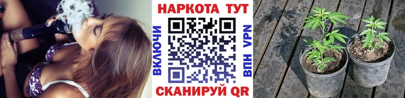 Магазины продажи наркотиков Александровск Кокаин  Бошки Шишки  Меф  Alpha-PVP  Амфетамин  ГАШИШ 