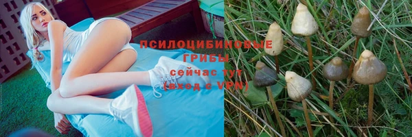герыч Алексин
