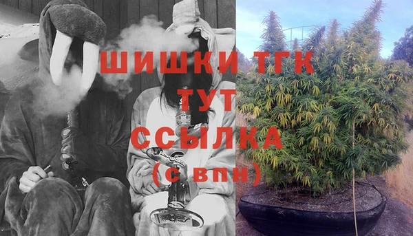 гидра Аркадак