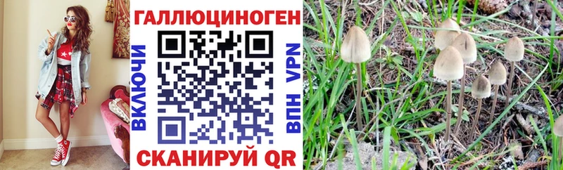 Псилоцибиновые грибы мухоморы  Александровск 